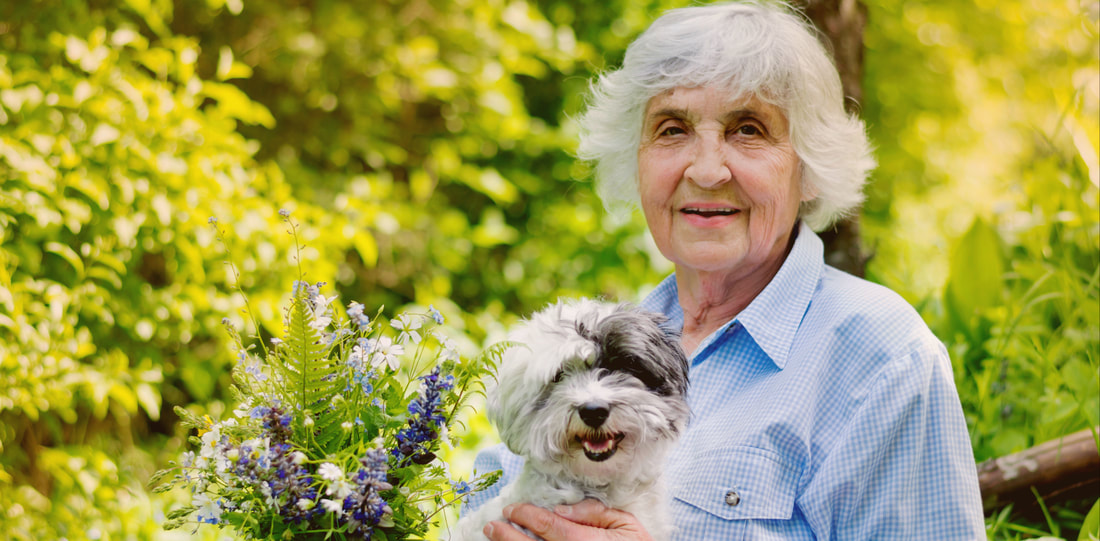 Moving Home with Pets - Pets and Positive Ageing Inc.